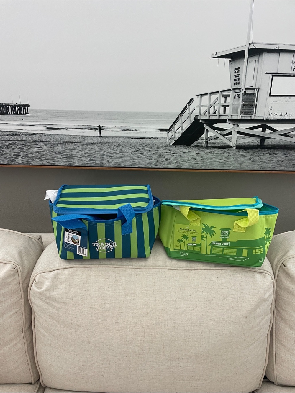 Trader Joe's Green & Blue Striped Insulated Tote